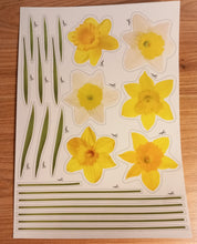 A4 Sticker Sheet - Butterfly Daisy Daffodil Roses Sunflower Tulip Squirrel Woodland