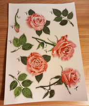 A4 Sticker Sheet - Butterfly Daisy Daffodil Roses Sunflower Tulip Squirrel Woodland