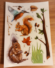 A4 Sticker Sheet - Butterfly Daisy Daffodil Roses Sunflower Tulip Squirrel Woodland
