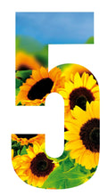 Sunflower Design 17cm Wheelie Bin Number - wheeliebinnumbers.net