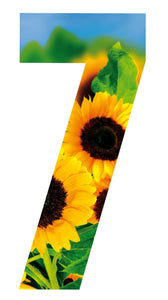 Sunflower Design 17cm Wheelie Bin Number - wheeliebinnumbers.net